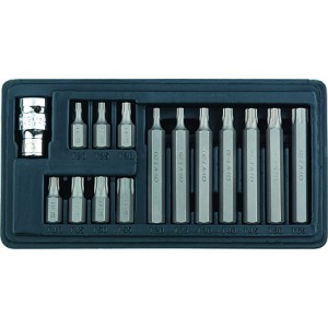 Набор бит 15 предметов TORX T20-55  бокс STELS 11315